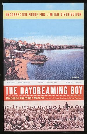 Seller image for The Daydreaming Boy for sale by Between the Covers-Rare Books, Inc. ABAA