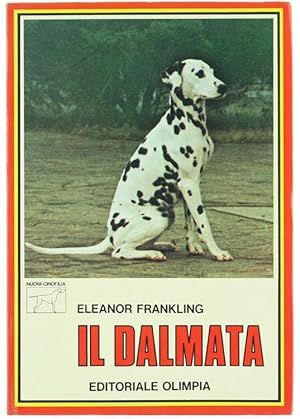 IL DALMATA.: