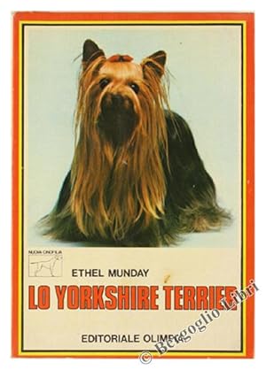 LO YORKSHIRE TERRIER.: