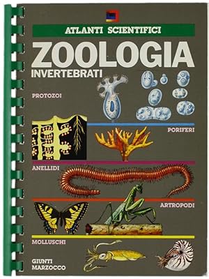 ZOOLOGIA. Invertebrati.: