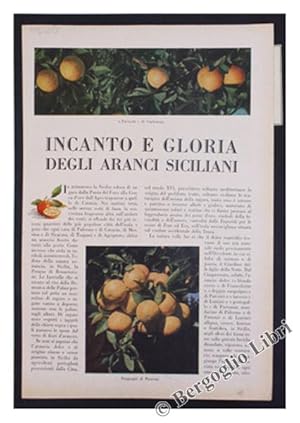 Seller image for INCANTO E GLORIA DEGLI ARANCI SICILIANI.: for sale by Bergoglio Libri d'Epoca