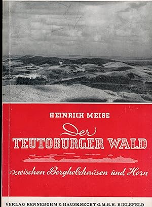 Imagen del vendedor de Der Teutoburger Wald zwischen Borgholzhausen und Horn a la venta por Paderbuch e.Kfm. Inh. Ralf R. Eichmann