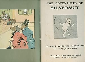 Seller image for The Adventures of Silversuit [Large Format] for sale by Little Stour Books PBFA Member