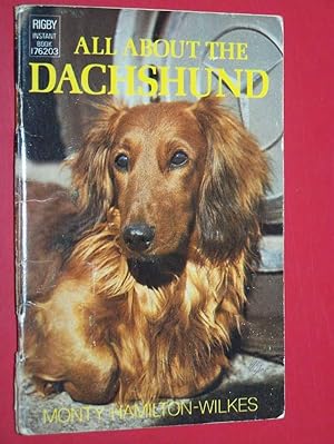 All About The Dachshund