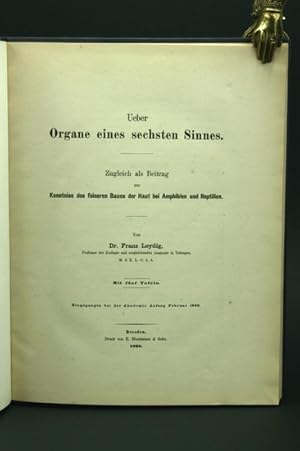 Über Organe eines sechsten Sinnes. Zugleich als Beitrag zur Kenntniss des feineren Baues der Haut...