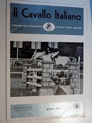 "IL CAVALLO ITALIANO Organo della Federazione Italiana Sport Equestri  Periodico Mensile 6 - GIU...