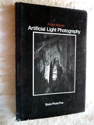Artificial Light Photography: Basci Photo Five.
