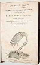 Seller image for General Zoology, or Systematic Natural History: Aves [Birds]. for sale by Trillium Antiquarian Books