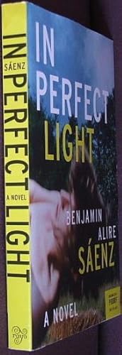 Immagine del venditore per In Perfect Light: A Novel venduto da The Wild Muse