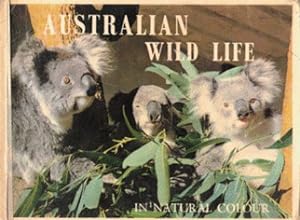 Imagen del vendedor de Australian Wild Life . in Natural Colour a la venta por Nanny's Web