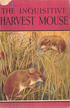 Seller image for The Inquisitive Harvest Mouse for sale by Nanny's Web