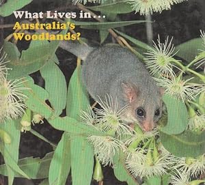 What Lives in Australia's Woodlands?