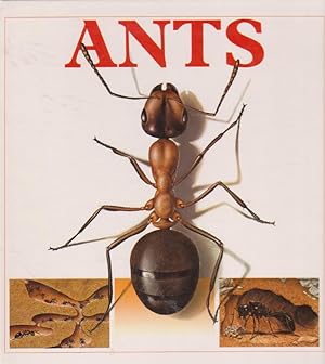 Imagen del vendedor de ANTS a la venta por Nanny's Web