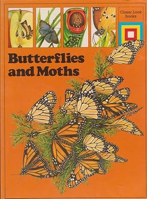 Image du vendeur pour A Closer Look at Butterflies and Moths mis en vente par Nanny's Web