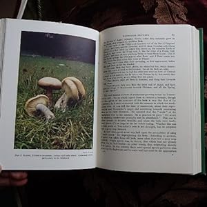 Seller image for Mushrooms & Toadstools - A Study of the Activities of Fungi for sale by Creaking Shelves Books