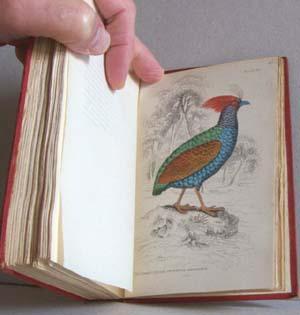 The Naturalist's Library Vol. VIII: Ornithology - Game Birds: Jardine, William