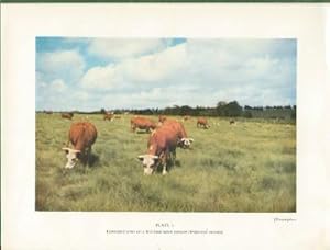 Seller image for Grasses and Pastures of South Africa for sale by Black Sheep Books