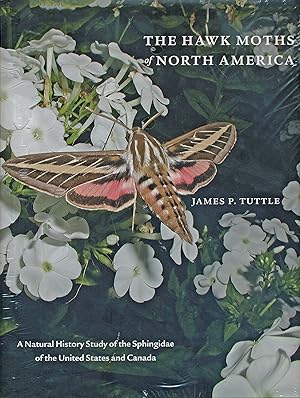 The Hawk Moths of North America. A Natural History Study of the Sphingidae of the United States a...