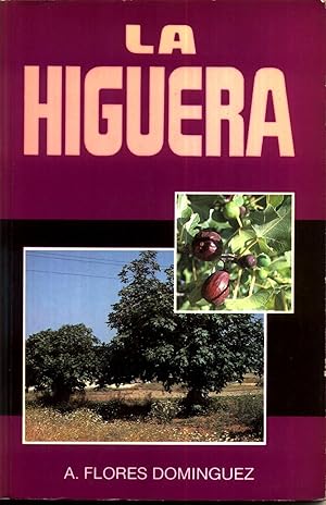 La Higuera, Frutal Mediterraneo Para Climas Calidos