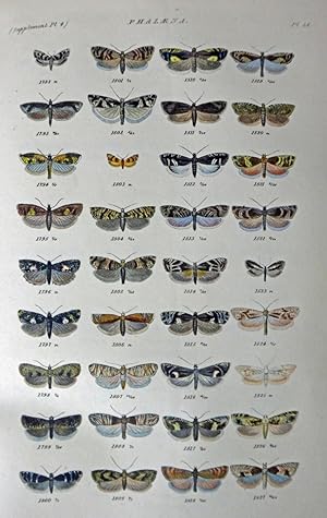 Index Entomologicus; or, A Complete Illustrated Catalogue, consisting of upwards of Two Thousand ...