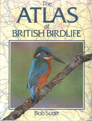 Immagine del venditore per The Atlas of British Birdlife venduto da Lazy Letters Books