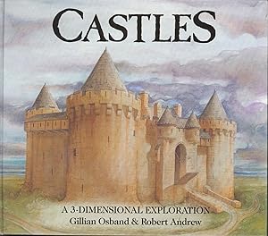 Castles - A 3-Dimensional Exploration