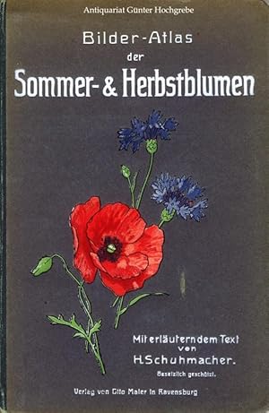 Bilder-Atlas der Sommer- & Herbstblumen.