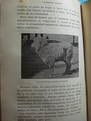 LA CRIA DEL GANADO EN LA ESTANCIA MODERNA. MANUAL DEL ESTANCIERO. Plantacin y Administracin de ...