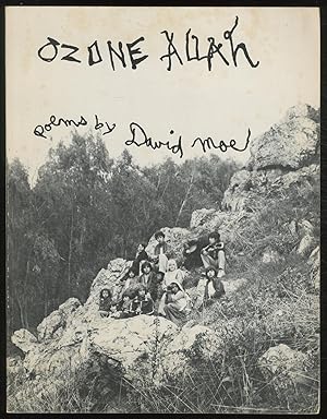 Seller image for Ozone Allah for sale by Between the Covers-Rare Books, Inc. ABAA