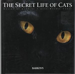 Secret Life of Cats : Mini-Edition