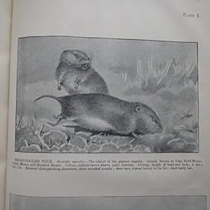 Field Voles (Scotland). Report of the Departmental Committee Appointed By the Board of Agricultur...