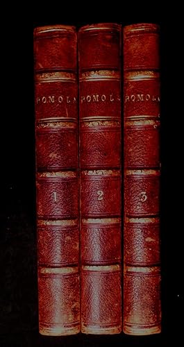 George Eliot - 'Romola' - Three Volumes In Half Leather Binding - 1863