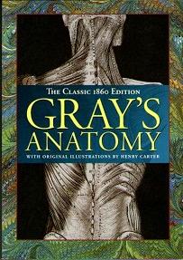 Gray's Anatomy : The Classic 1860 Edition :