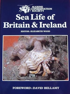 Bild des Verkufers fr SEA LIFE OF BRITAIN & IRELAND zum Verkauf von LOE BOOKS
