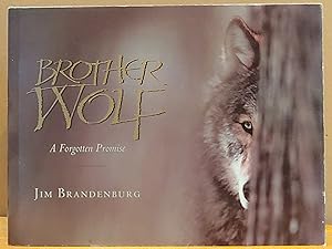 Immagine del venditore per Brother Wolf: A Forgotten Promise venduto da H.S. Bailey
