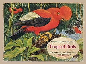 Brooke Bond Picture Cards Tropical Birds