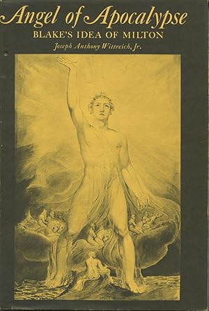 Imagen del vendedor de Angel of Apocalypse : Blake's Idea of Milton a la venta por Kenneth A. Himber