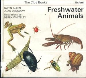 Immagine del venditore per Freshwater Animals (The Clue Books) venduto da Lazy Letters Books
