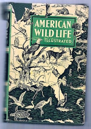 Image du vendeur pour American Wild Life Illustrated mis en vente par Riverhorse Books