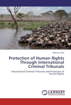 Bild des Verkufers fr Protection of Human Rights Through International Criminal Tribunals : International Criminal Tribunals and Protection of Human Rights zum Verkauf von AHA-BUCH GmbH