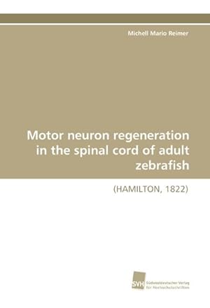 Image du vendeur pour Motor neuron regeneration in the spinal cord of adult zebrafish : (HAMILTON, 1822) mis en vente par AHA-BUCH GmbH