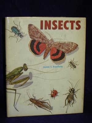 Immagine del venditore per Insects [Follett Beginning Science Books] venduto da Gil's Book Loft
