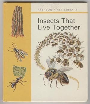 Insects That Live Together