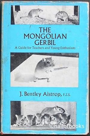 The Mongolian Gerbil: A Guide for Teachesr and Young Enthusiats