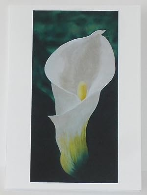 'Cala Lily' : Greetings card (From the acrylic on canvas)