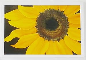 'Sunflower' : Greetings card (From the acrylic on canvas)