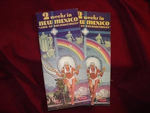 Seller image for 2 Weeks in New Mexico. Land of Enchantment. for sale by BookMine