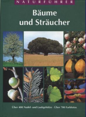 Steinbachs großer Naturführer. Bäume und Sträucher. Über 400 Nadel- und Laubgehölze.