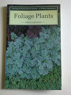 Foliage Plants