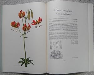 A Supplement to Elwes Monograph on the Genus Lilium. PART IX